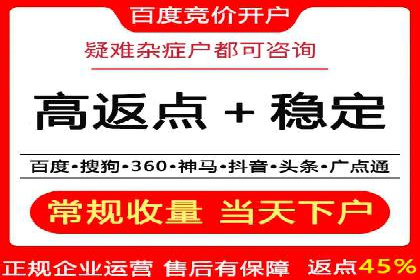 竞价排名在电商行业的实战案例